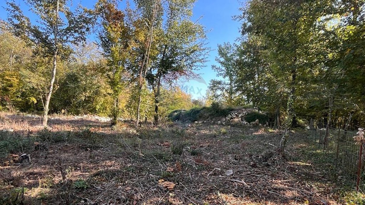 Terreno In vendita - ISTARSKA  KAROJBA 