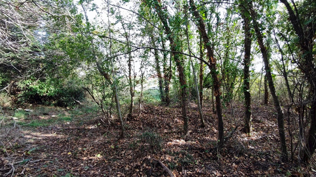 Land For sale - ISTARSKA  MEDULIN 