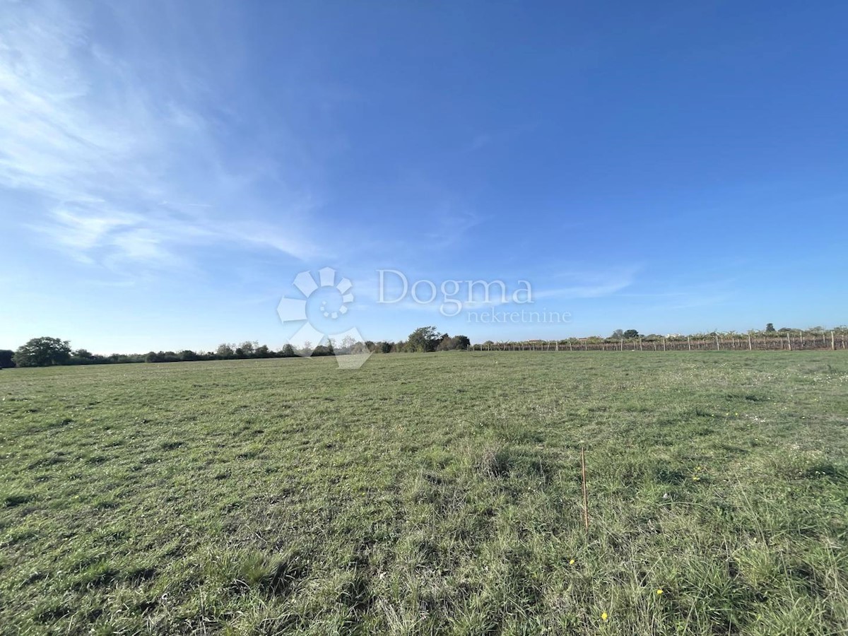 Land For sale - ISTARSKA  MARČANA 