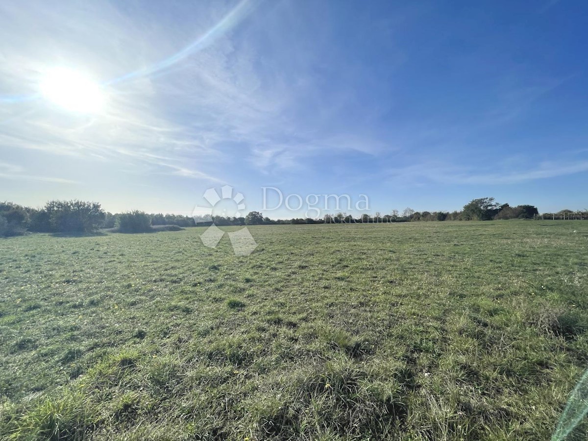 Land For sale - ISTARSKA  MARČANA 