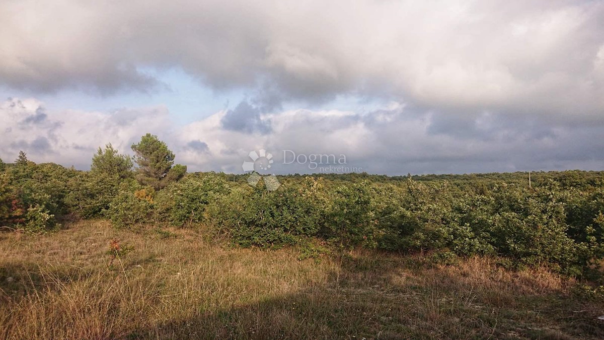 Land For sale - ISTARSKA  VODNJAN 