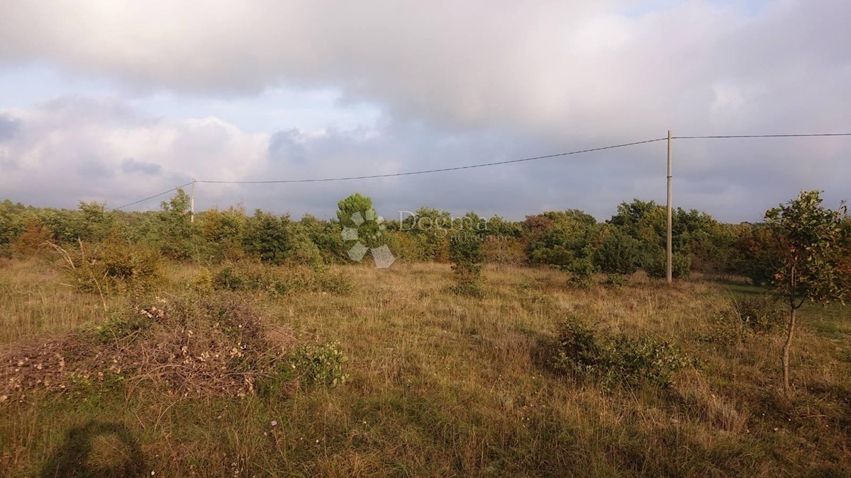 Land For sale - ISTARSKA  VODNJAN 