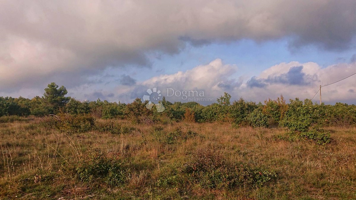 Land For sale - ISTARSKA  VODNJAN 