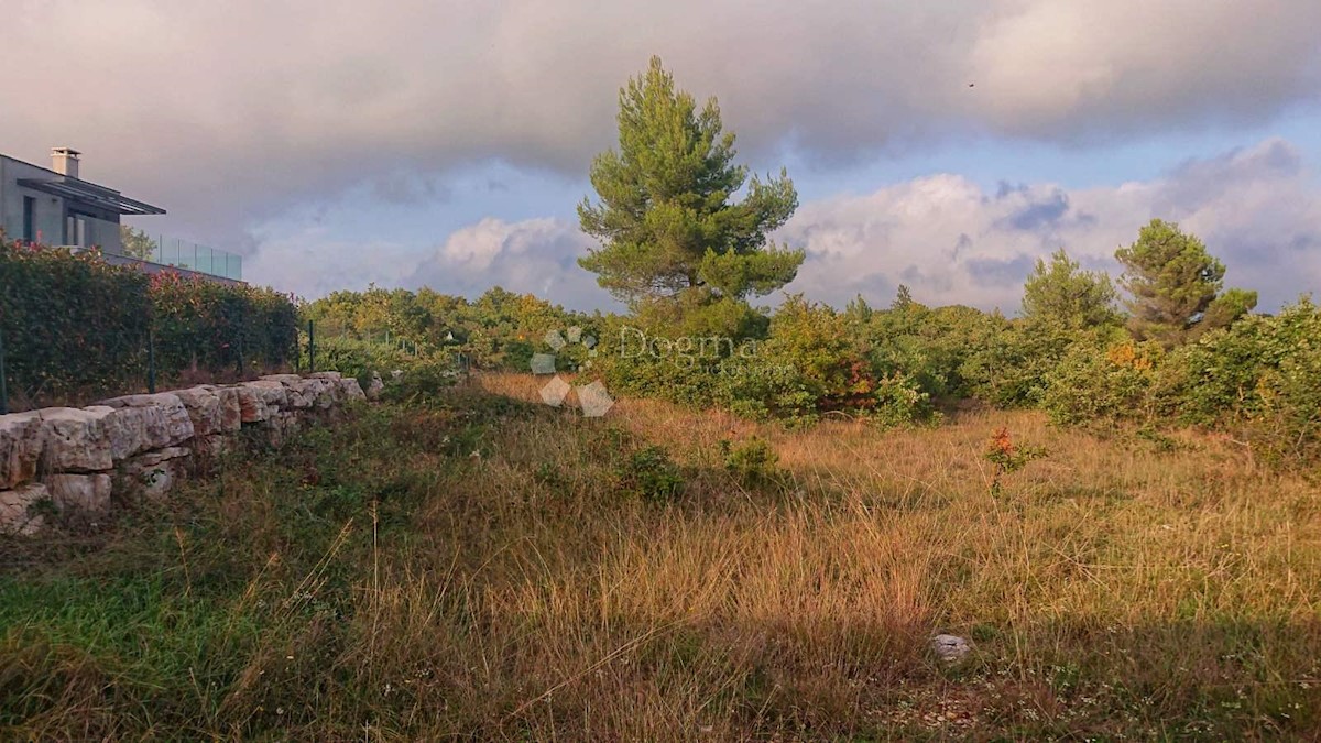 Land For sale - ISTARSKA  VODNJAN 