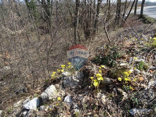 Land For sale - Primorsko-goranska Matulji - foto 3/6