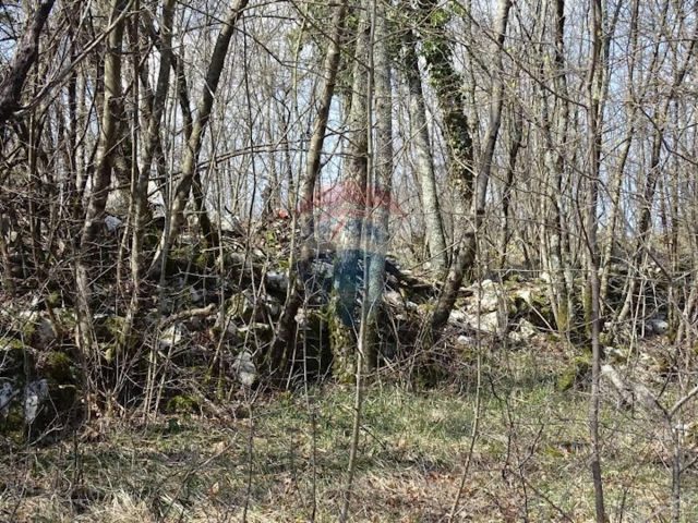 Land For sale - Primorsko-goranska Matulji - foto 4/6
