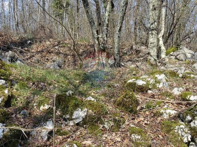 Land For sale - Primorsko-goranska Matulji - foto 5/6