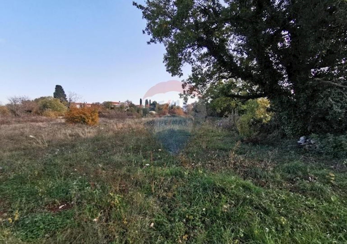 Terreno In vendita - ISTARSKA  Svetvinčenat
