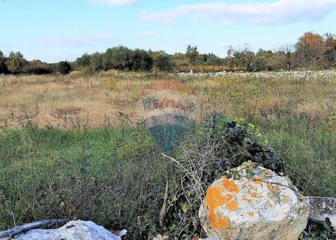 Parcela na predaj 2935 m² – Salambati