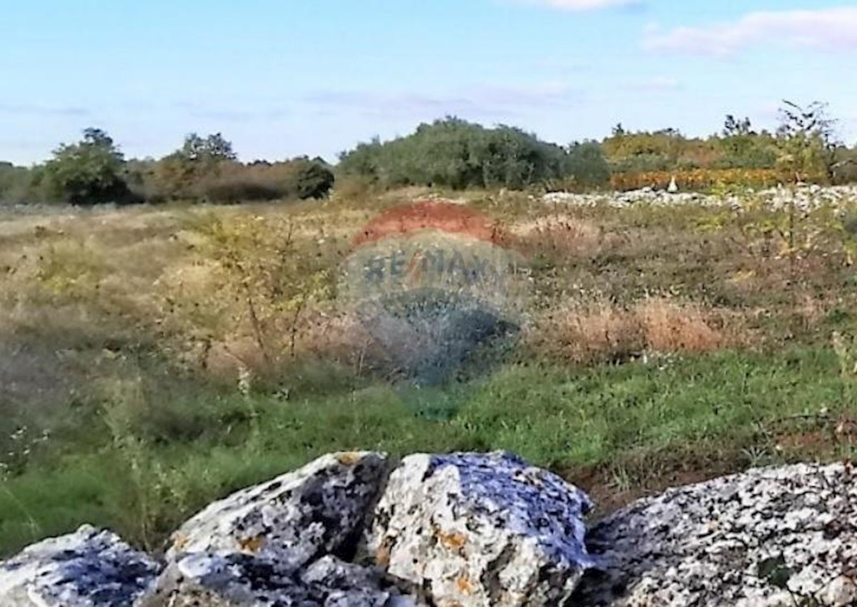 Terreno In vendita - ISTARSKA  Svetvinčenat