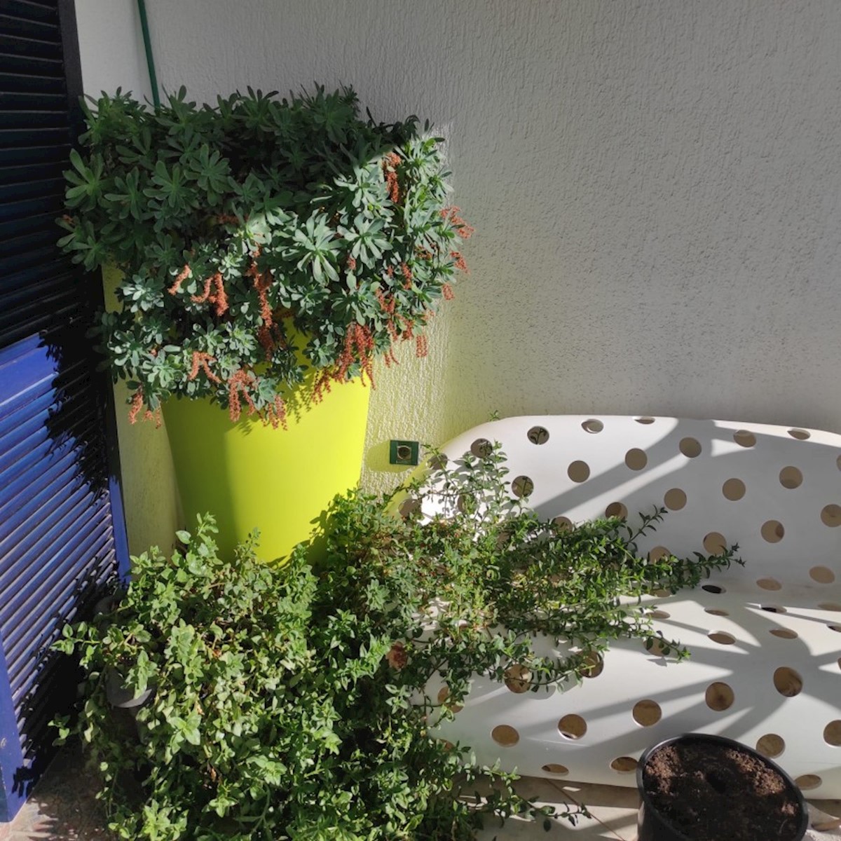Apartment Zu verkaufen - ISTARSKA  PULA 