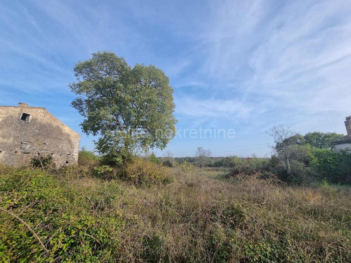 Land For sale - ISTARSKA  BALE 