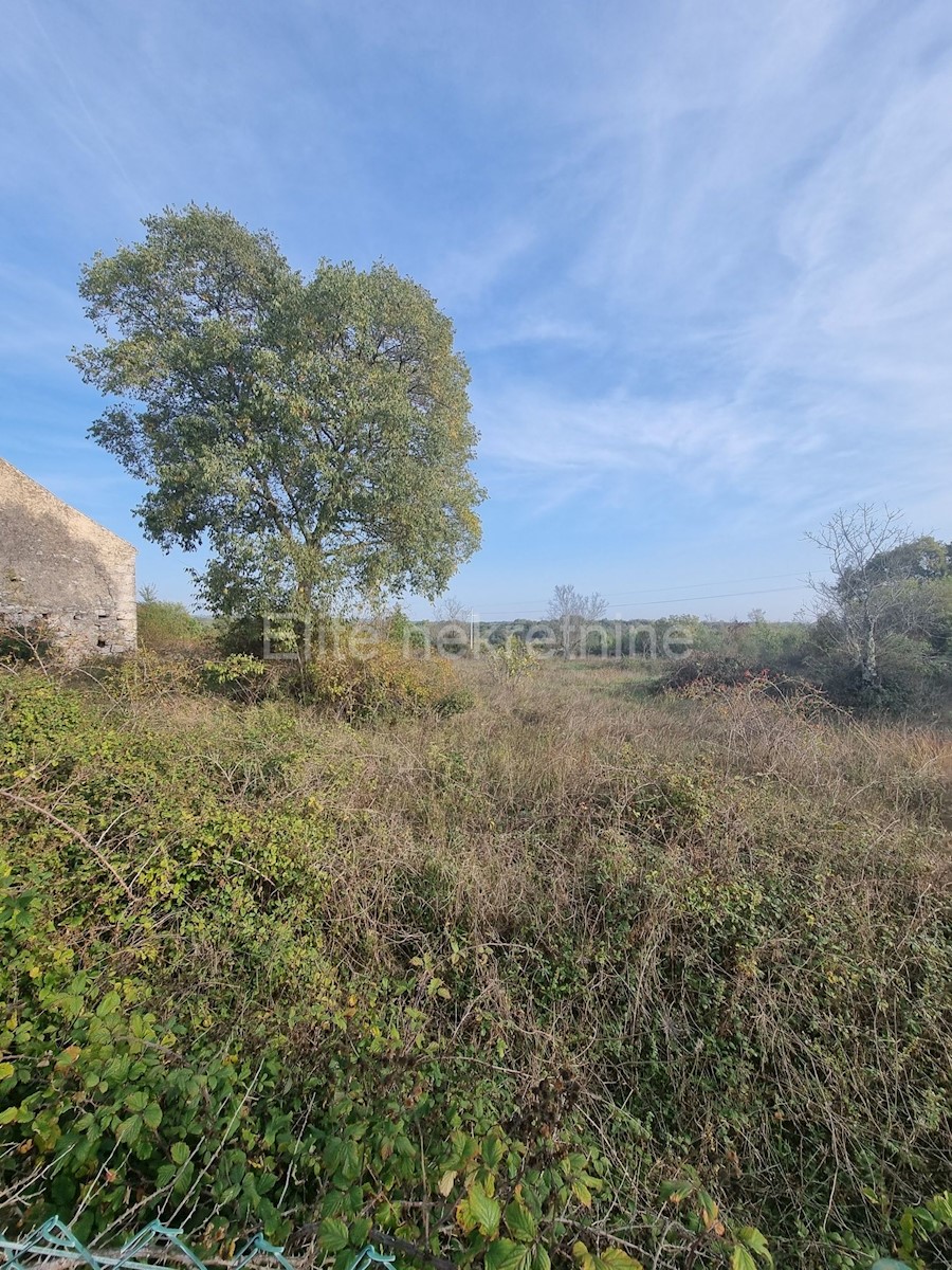 Land For sale - ISTARSKA  BALE 