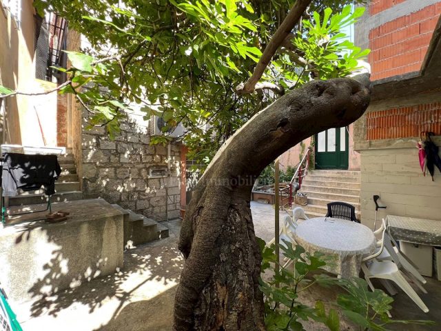 Haus Zu verkaufen - Splitsko-dalmatinska Makarska - foto 4/14