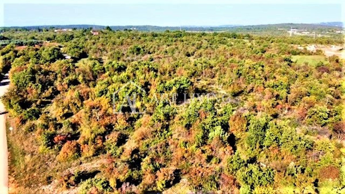 Pozemok Na predaj - ISTARSKA  UMAG 