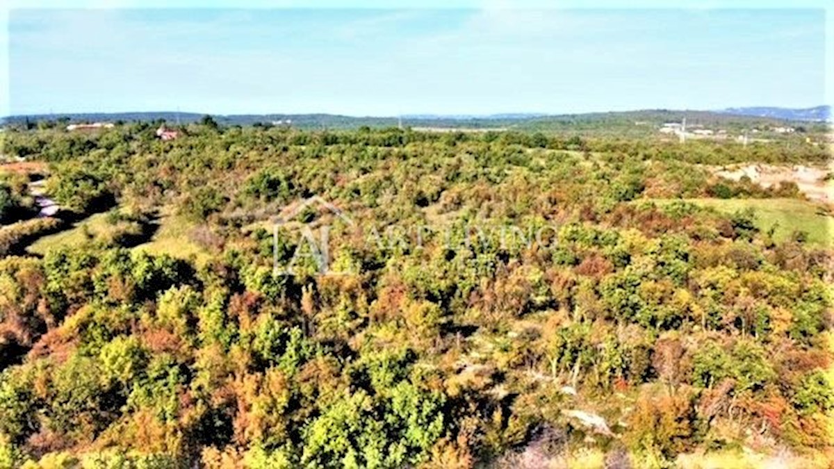 Pozemok Na predaj - ISTARSKA  UMAG 