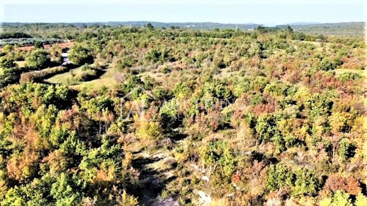Pozemok Na predaj - ISTARSKA  UMAG 