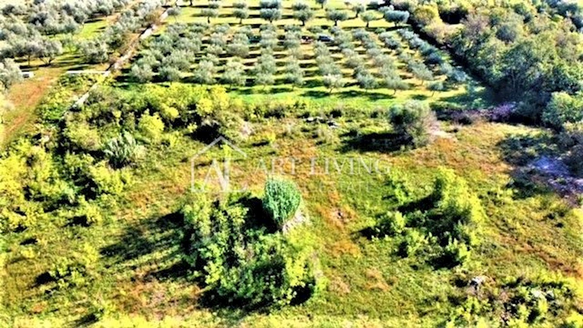 Land For sale - ISTARSKA  UMAG 