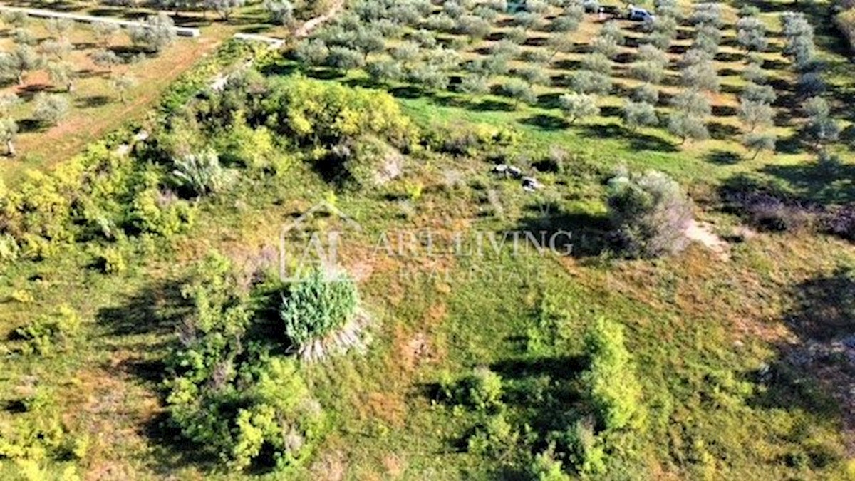 Land For sale - ISTARSKA  UMAG 