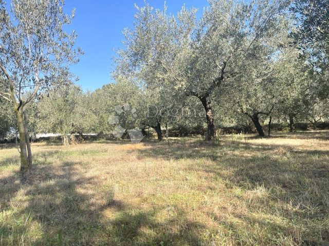 Terrain à vendre 2808 m² – Medulin