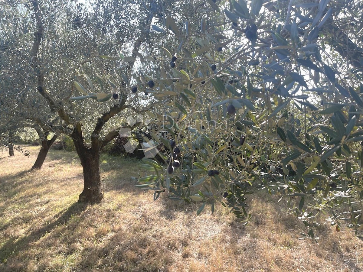 Pozemok Na predaj - Istarska Medulin - foto 2/3