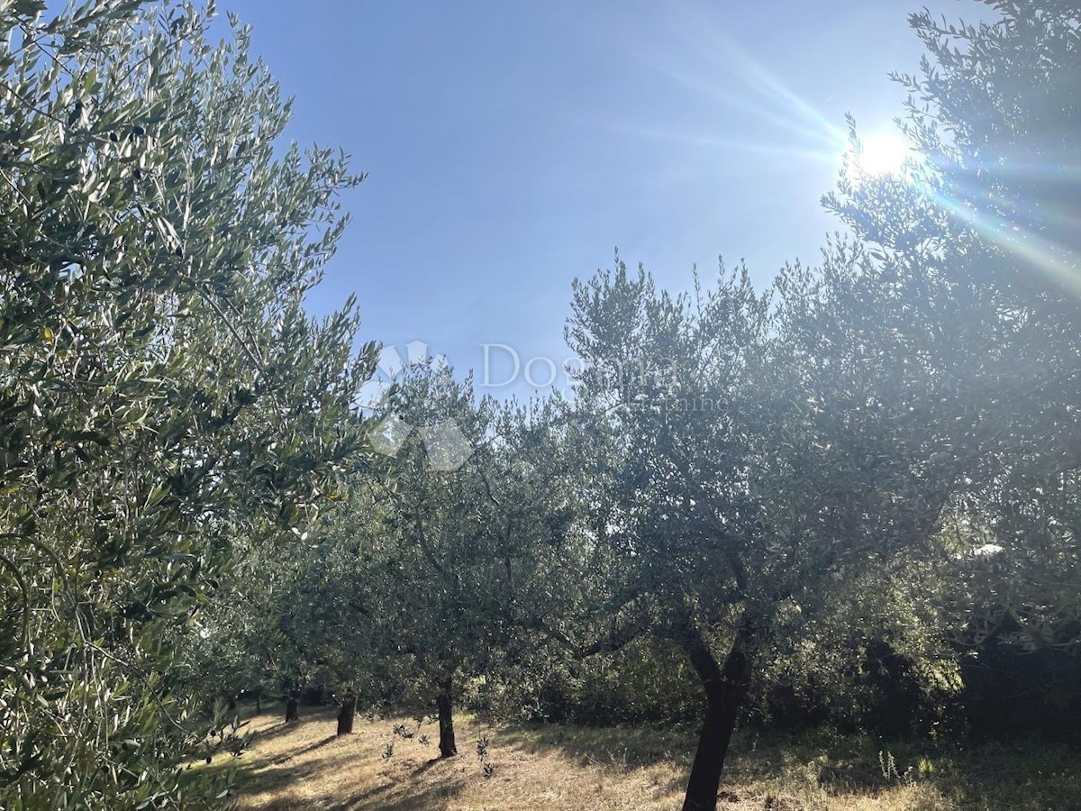 Pozemok Na predaj - Istarska Medulin - foto 3/3
