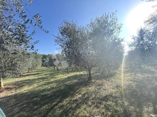 Land For sale - Istarska Medulin - foto 2/4