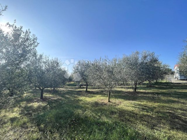 Land For sale - Istarska Medulin - foto 3/4