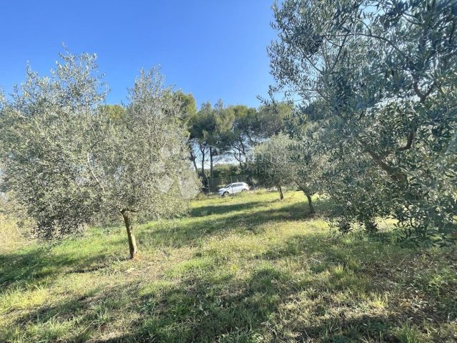 Land For sale - Istarska Medulin - foto 4/4