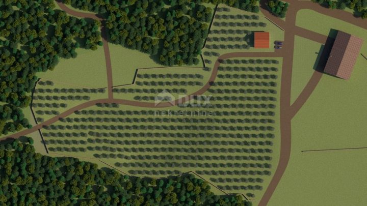 Terreno in vendita 12200 m² – Bale