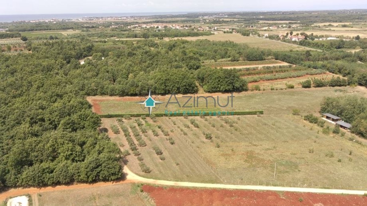 Land For sale - ISTARSKA  UMAG 