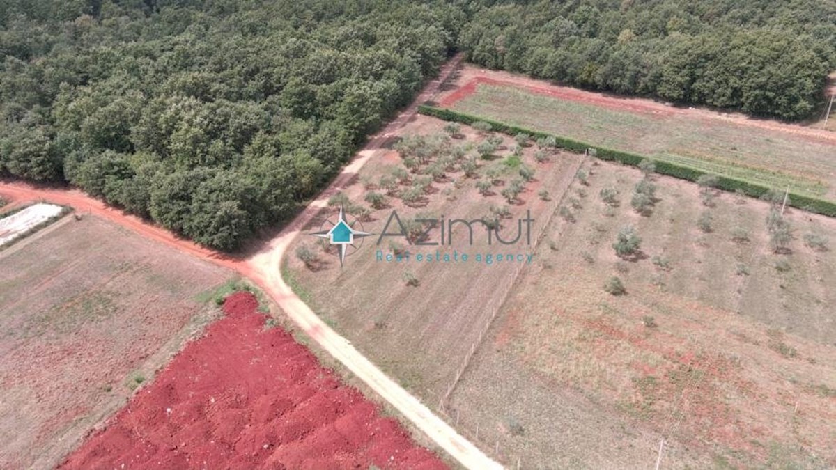 Land For sale - ISTARSKA  UMAG 