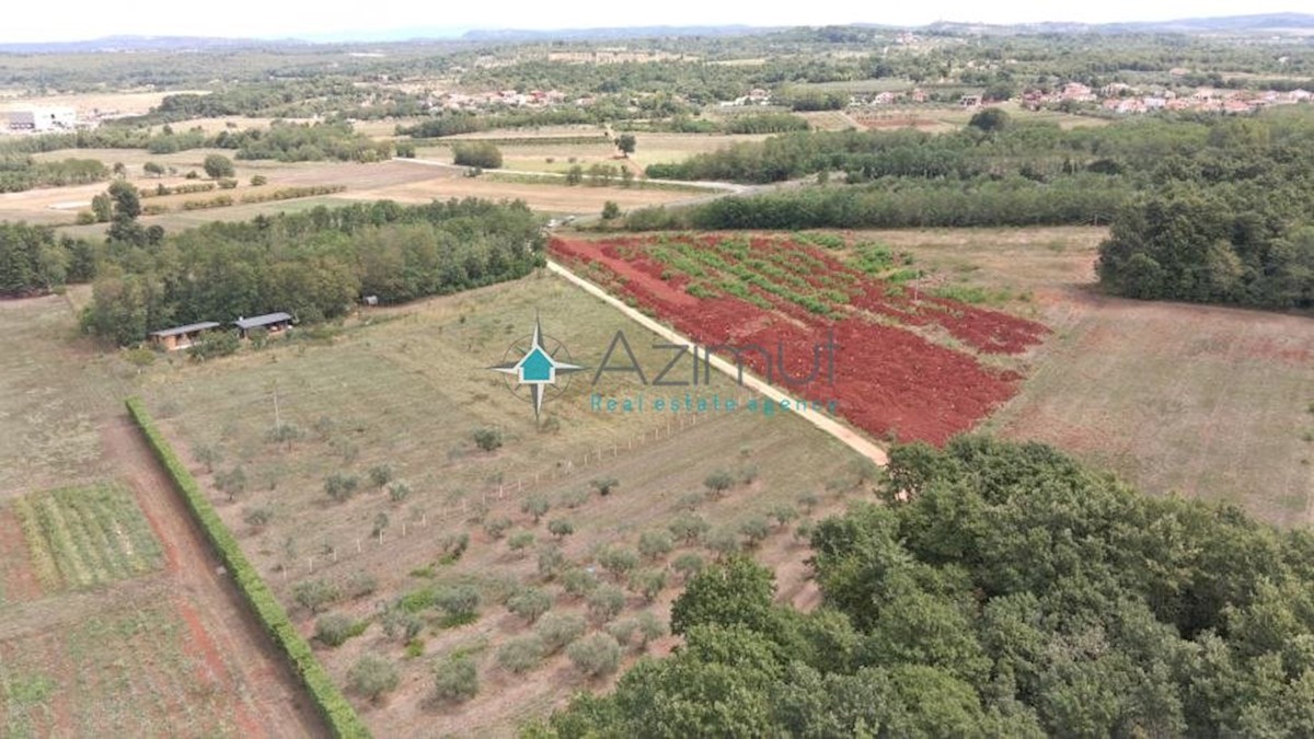 Land For sale - ISTARSKA  UMAG 