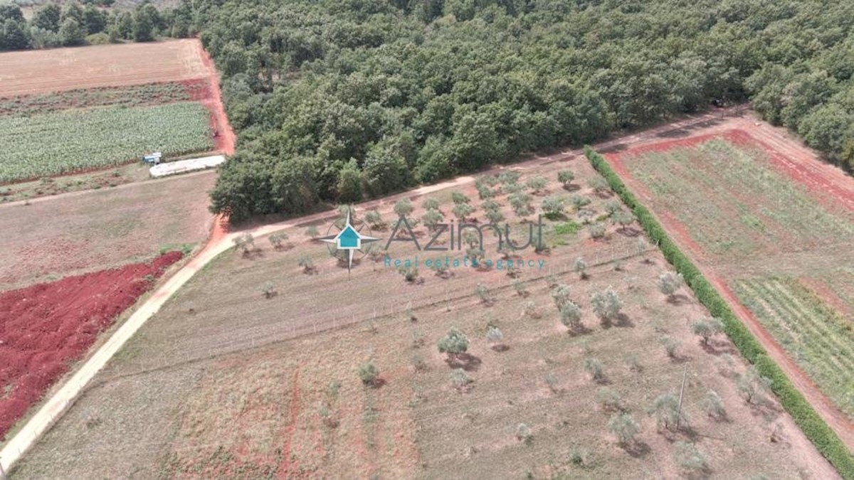 Zemljište Na prodaju - ISTARSKA  UMAG 