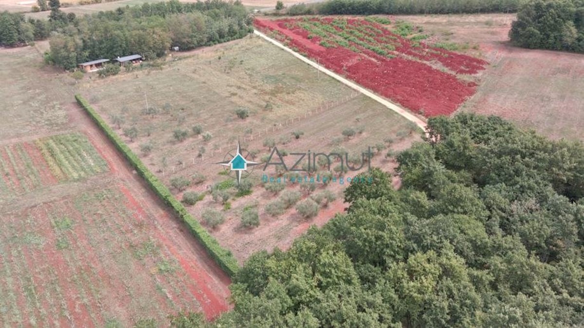 Land For sale - ISTARSKA  UMAG 