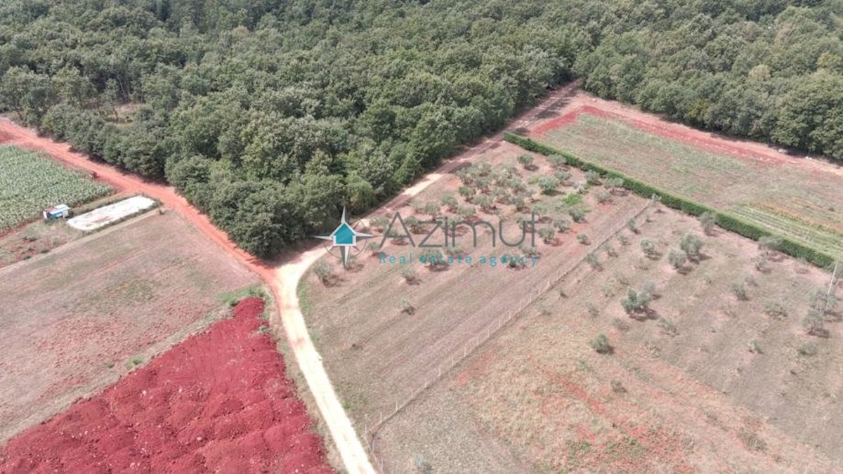 Land For sale - ISTARSKA  UMAG 