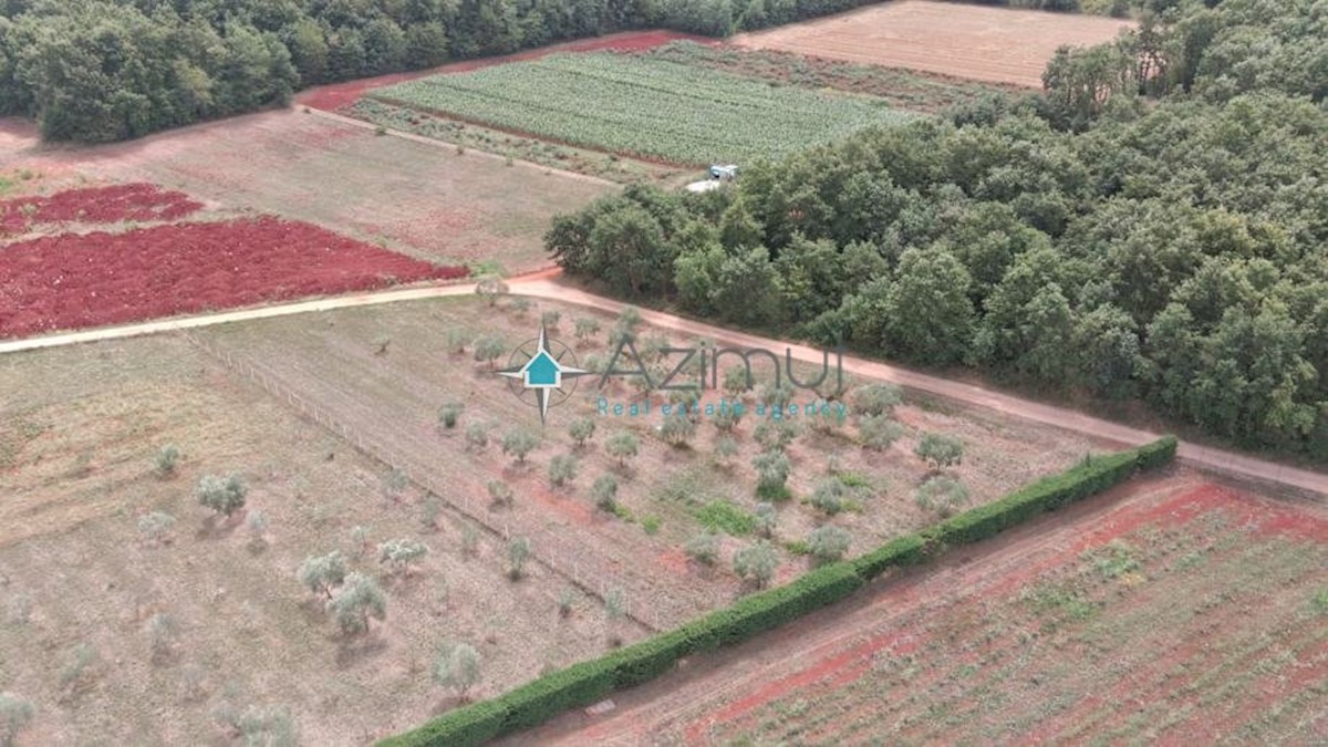 Land For sale - ISTARSKA  UMAG 