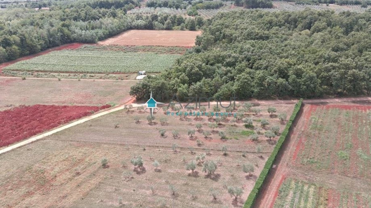 Land For sale - ISTARSKA  UMAG 