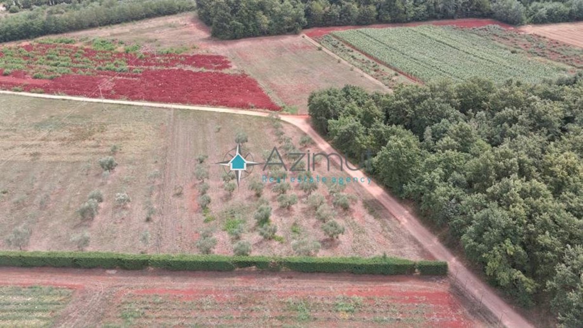 Land For sale - ISTARSKA  UMAG 