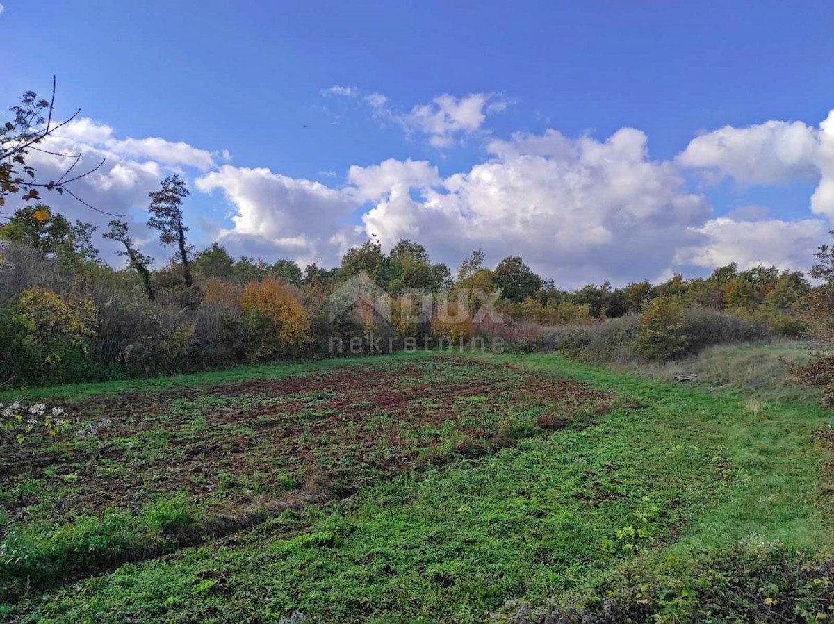 Terreno In vendita - ISTARSKA  SVETVINČENAT 