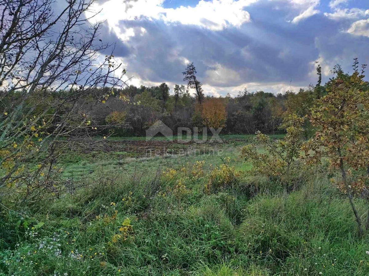 Terreno In vendita - ISTARSKA  SVETVINČENAT 