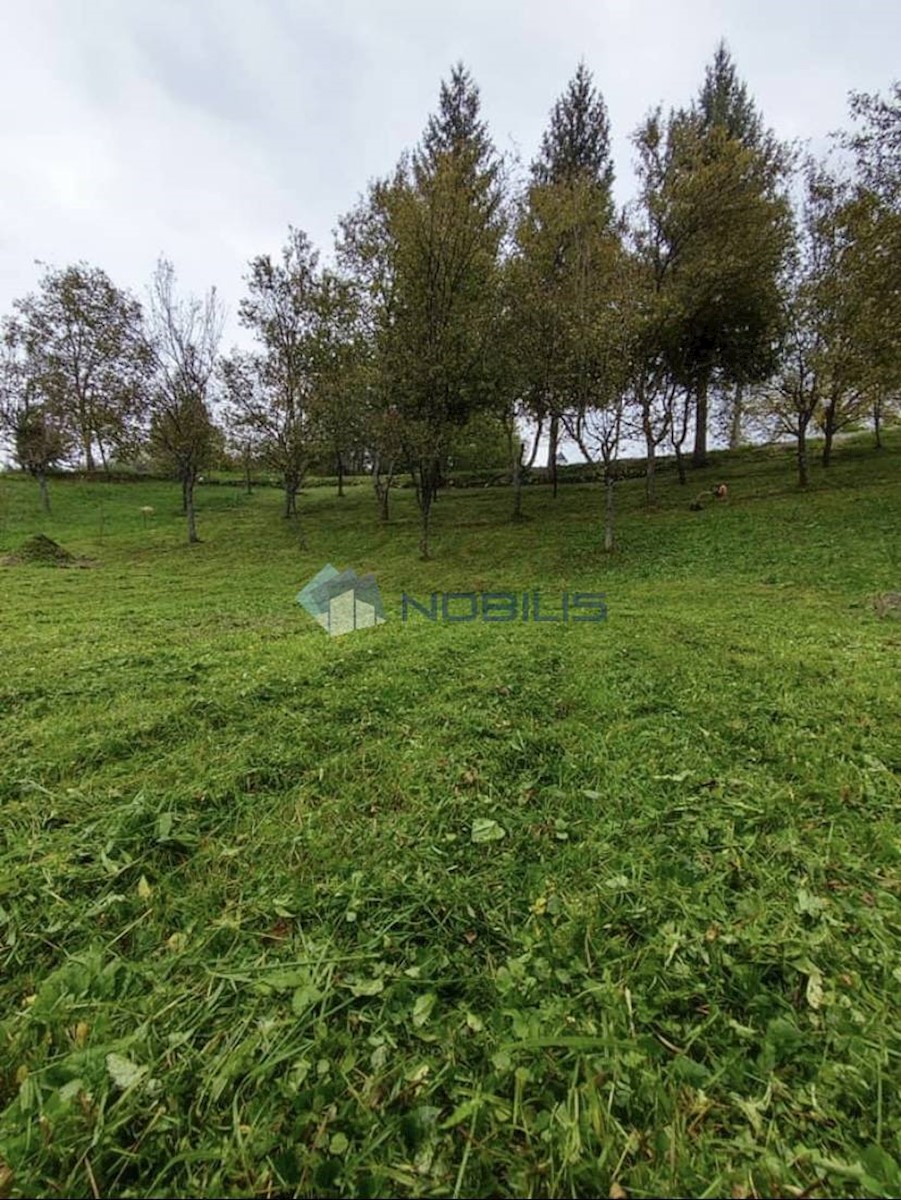 Land For sale - KARLOVAČKA  RAKOVICA 