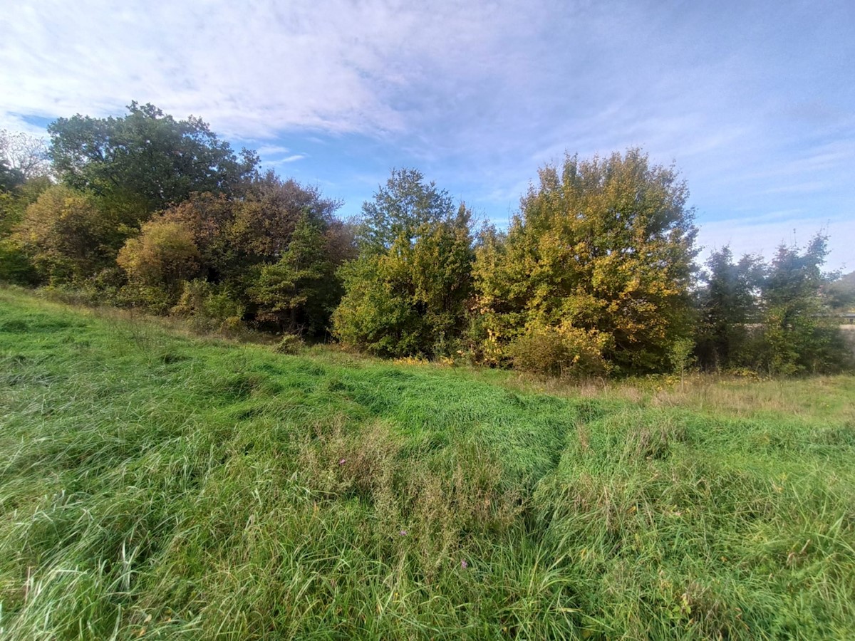 Land For sale - ISTARSKA  KRŠAN 