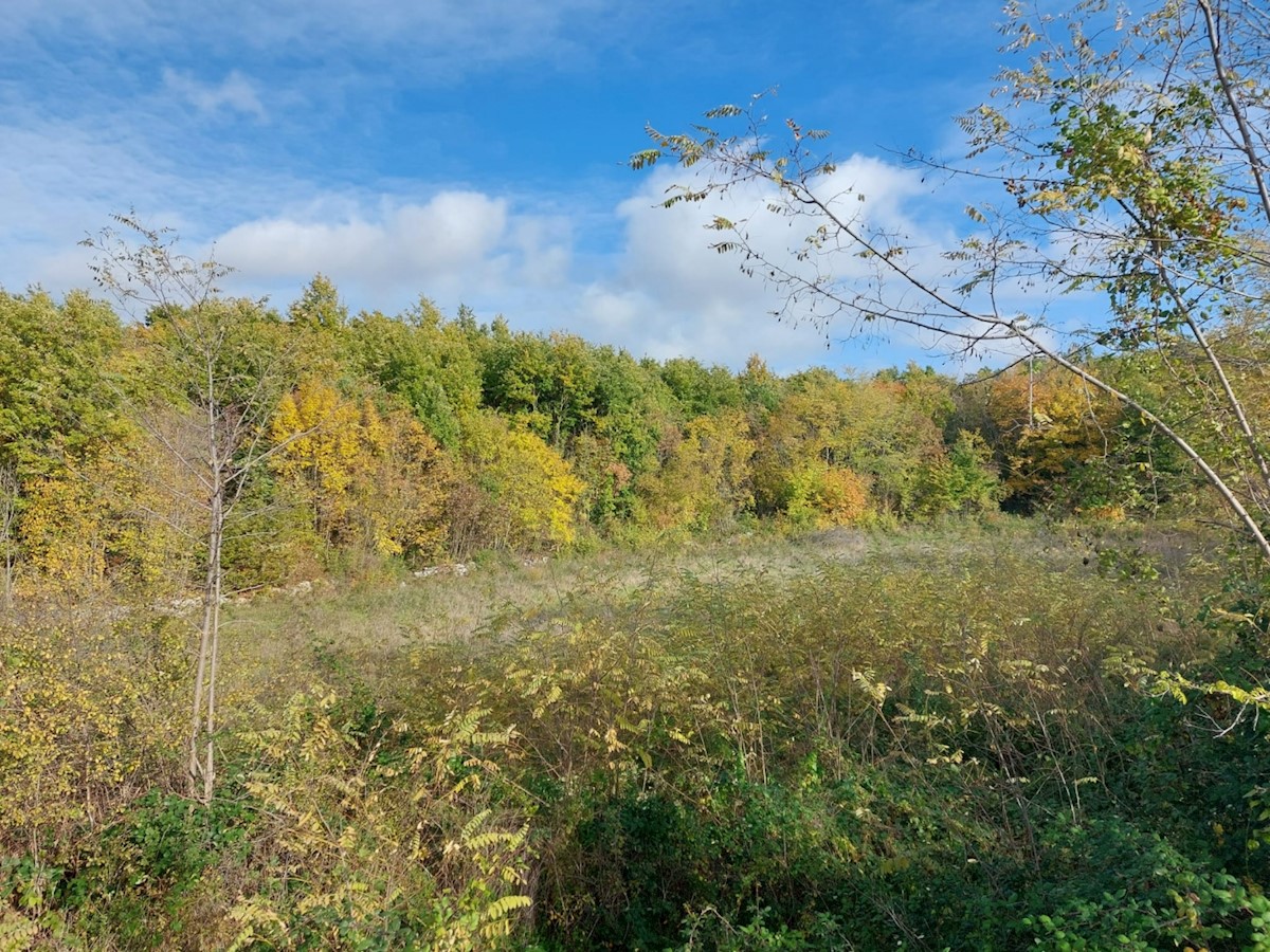 Terreno In vendita