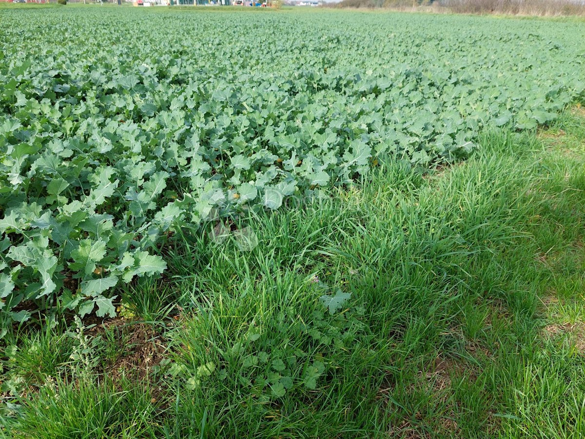 Zemljište Na prodaju - VARAŽDINSKA  VARAŽDIN 