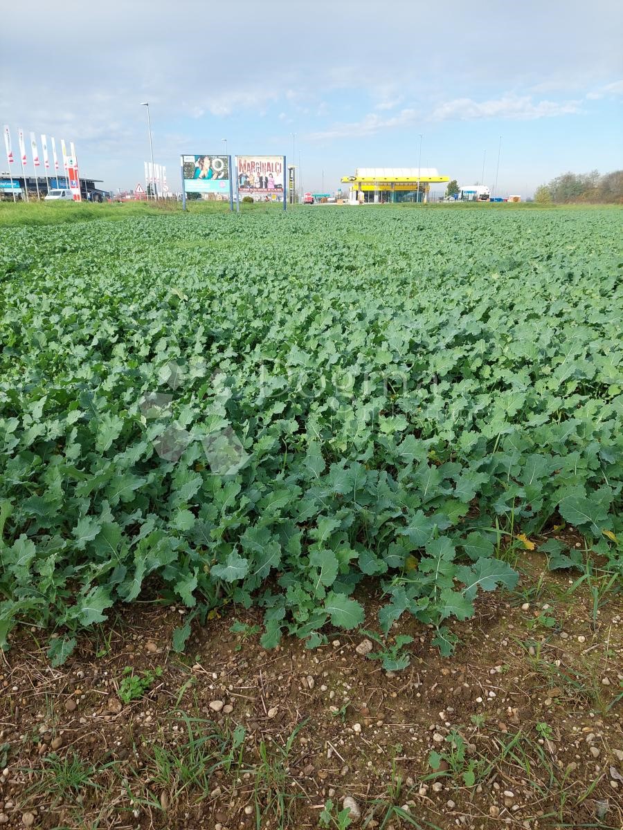 Zemljište Na prodaju - VARAŽDINSKA  VARAŽDIN 