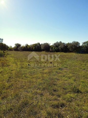 Terreno In vendita - Istarska Vodnjan - foto 2/2