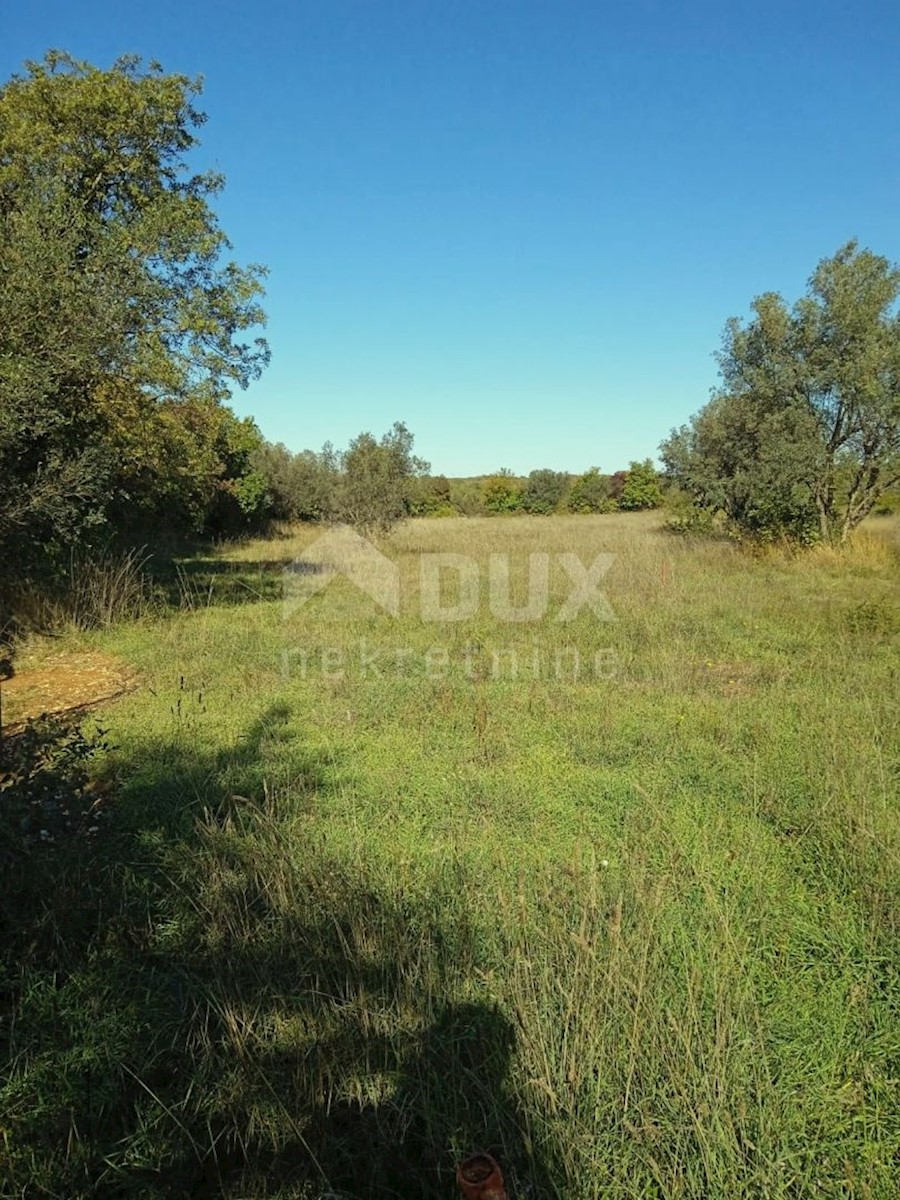 Terrain À vendre - Istarska Vodnjan - foto 1/2