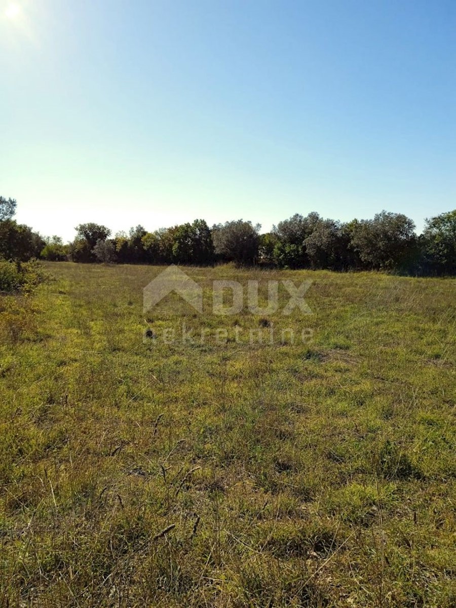 Terrain À vendre - Istarska Vodnjan - foto 2/2