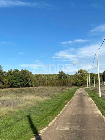 Grundstück zu verkaufen 2000 m² – Sveti Lovreč Pazenatički